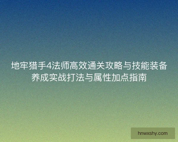 地牢猎手4法师高效通关攻略与技能装备养成实战打法与属性加点指南