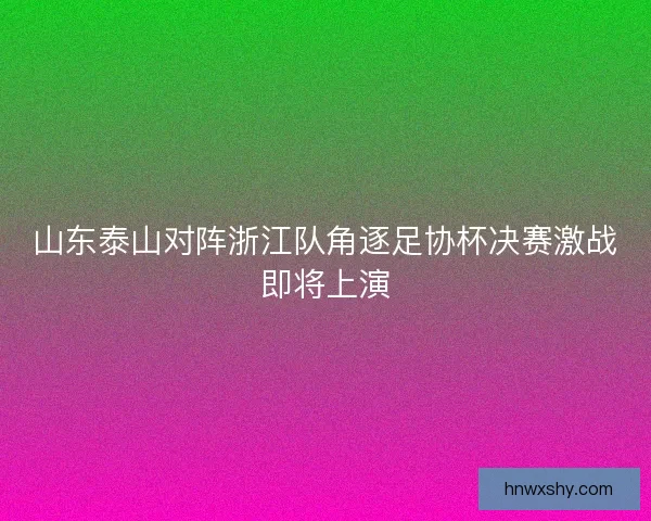 山东泰山对阵浙江队角逐足协杯决赛激战即将上演
